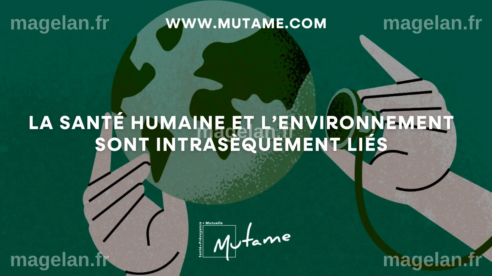 Quels sont les grands enjeux de santé environnementale ? - Union Mutame