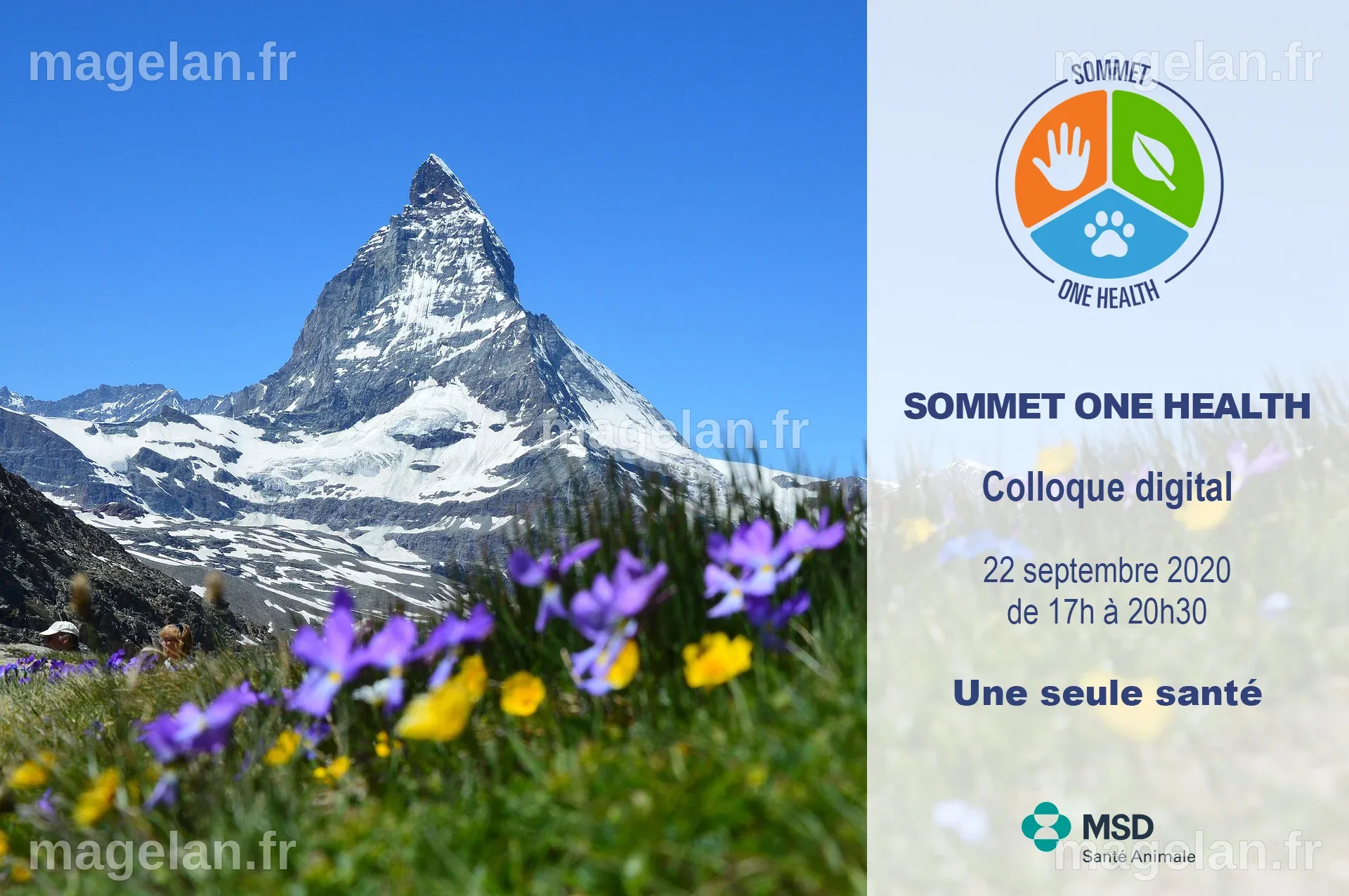 SOMMET ONE HEALTH -Colloque digital le 22 septembre - MSD Santé Animale ...