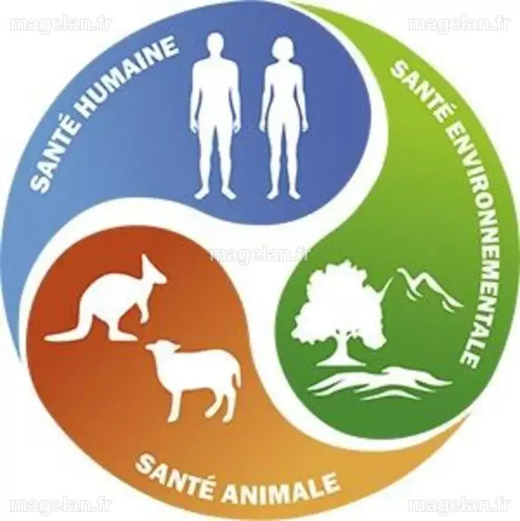 Une seule santé pour la Terre, les animaux et les Hommes | Agriculture ...