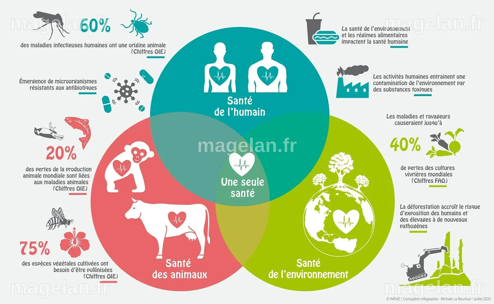 Santé humaine, animale et environnementale : un enjeu majeur pour notre avenir