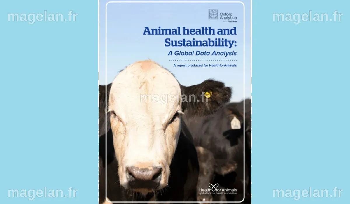 Des animaux en bonne santé, une planète en bonne santé ⋆ Savoir Animal