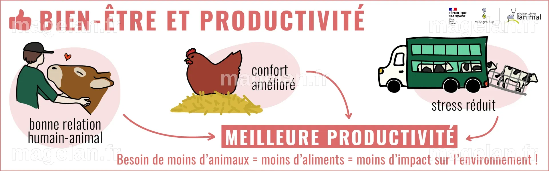Améliorer le bien-être des animaux d’élevage est-il toujours bénéfique ...