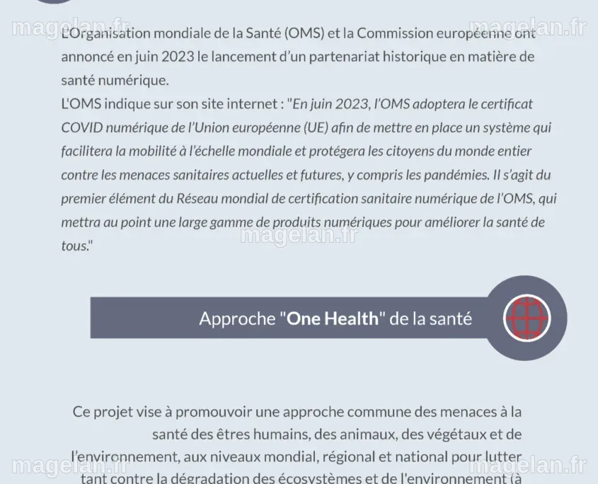 Traité Pandémies OMS et Règlement Sanitaire International (RSI ...