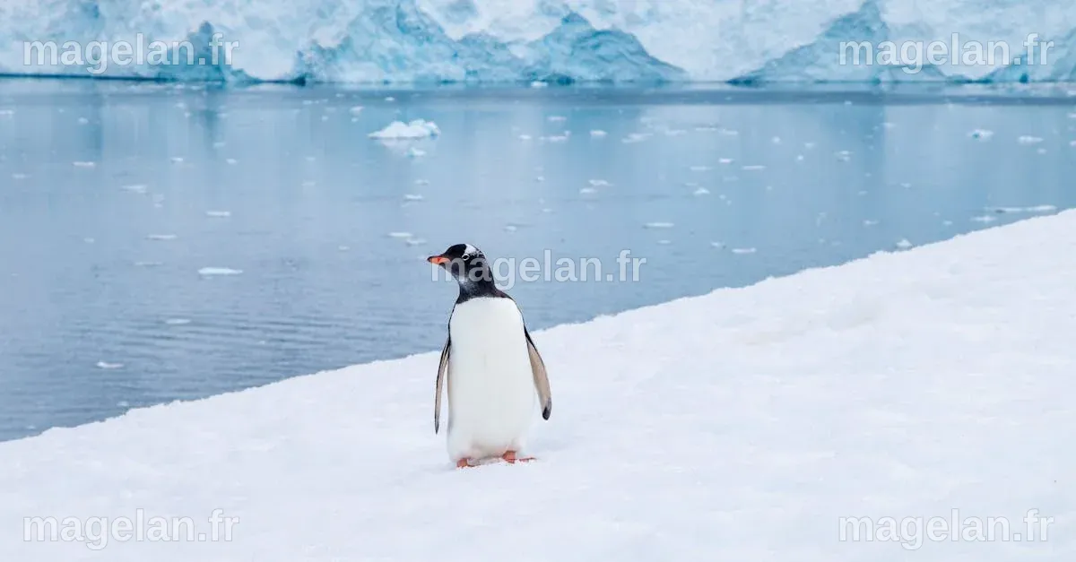 Écosystème : explorer les liens fascinants entre espèces et environnement