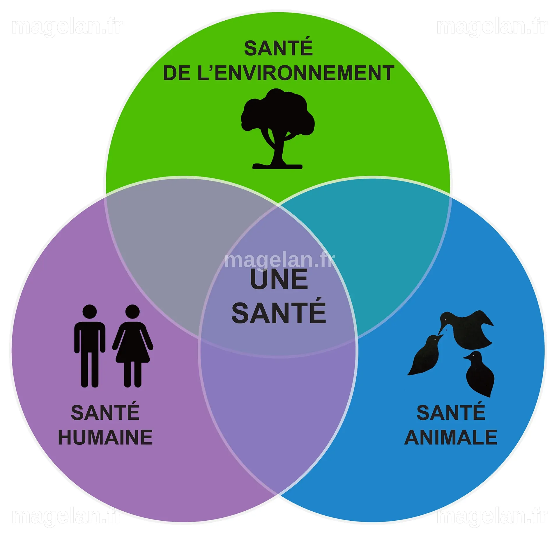 One Health : Homme, animal, environnement - Gamelle