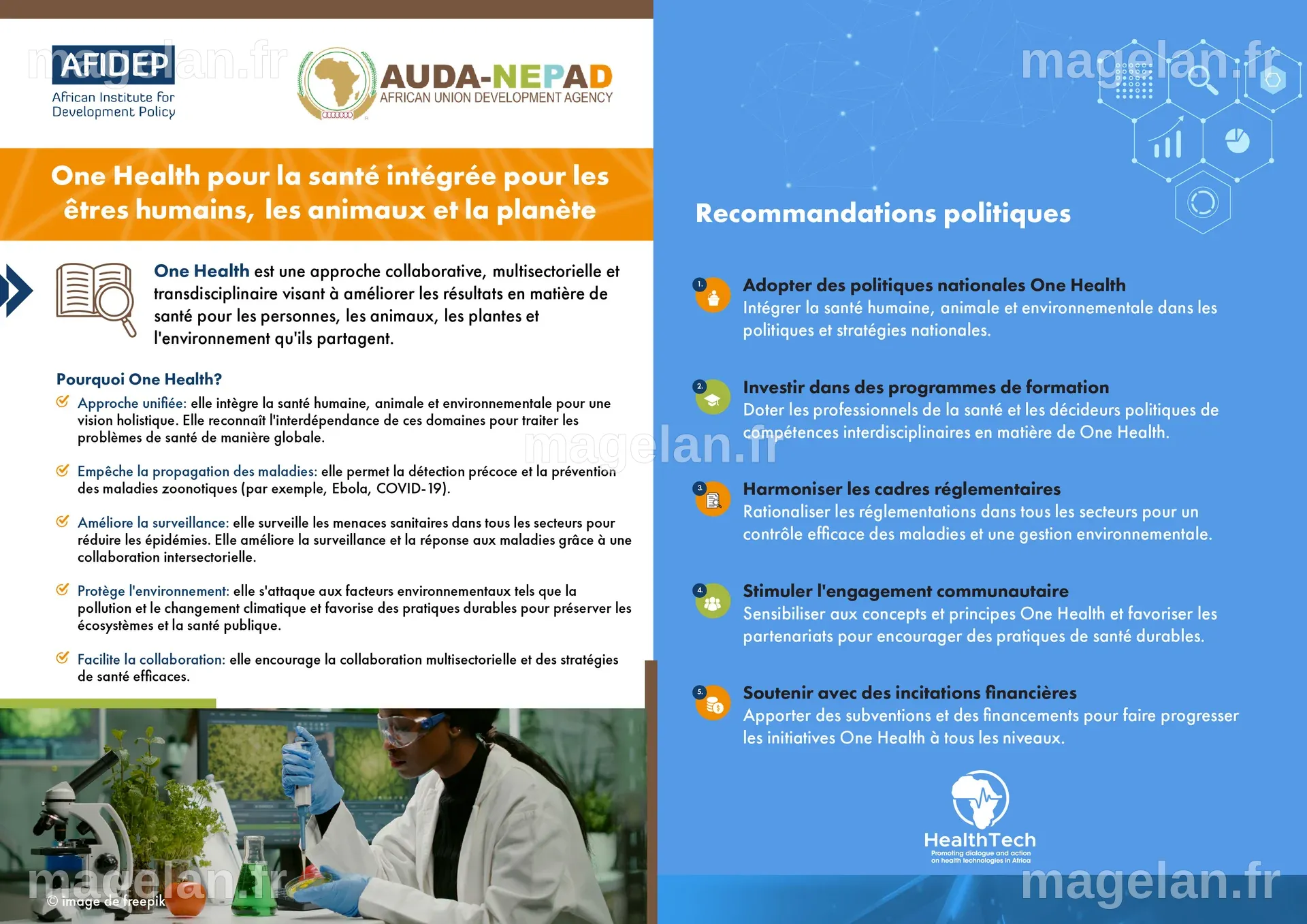 One Health pour la santé intégrée pour les êtres humains, les animaux ...