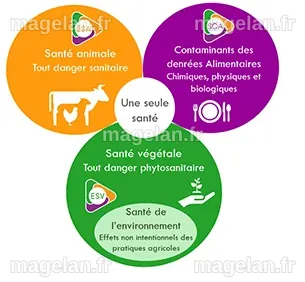 One Health | PLATEFORME ESA