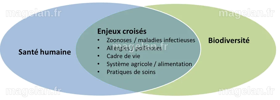 Santé et biodiversité - ORS