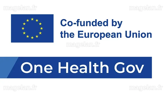 One Health : une approche de santé globale | Ville de Lyon
