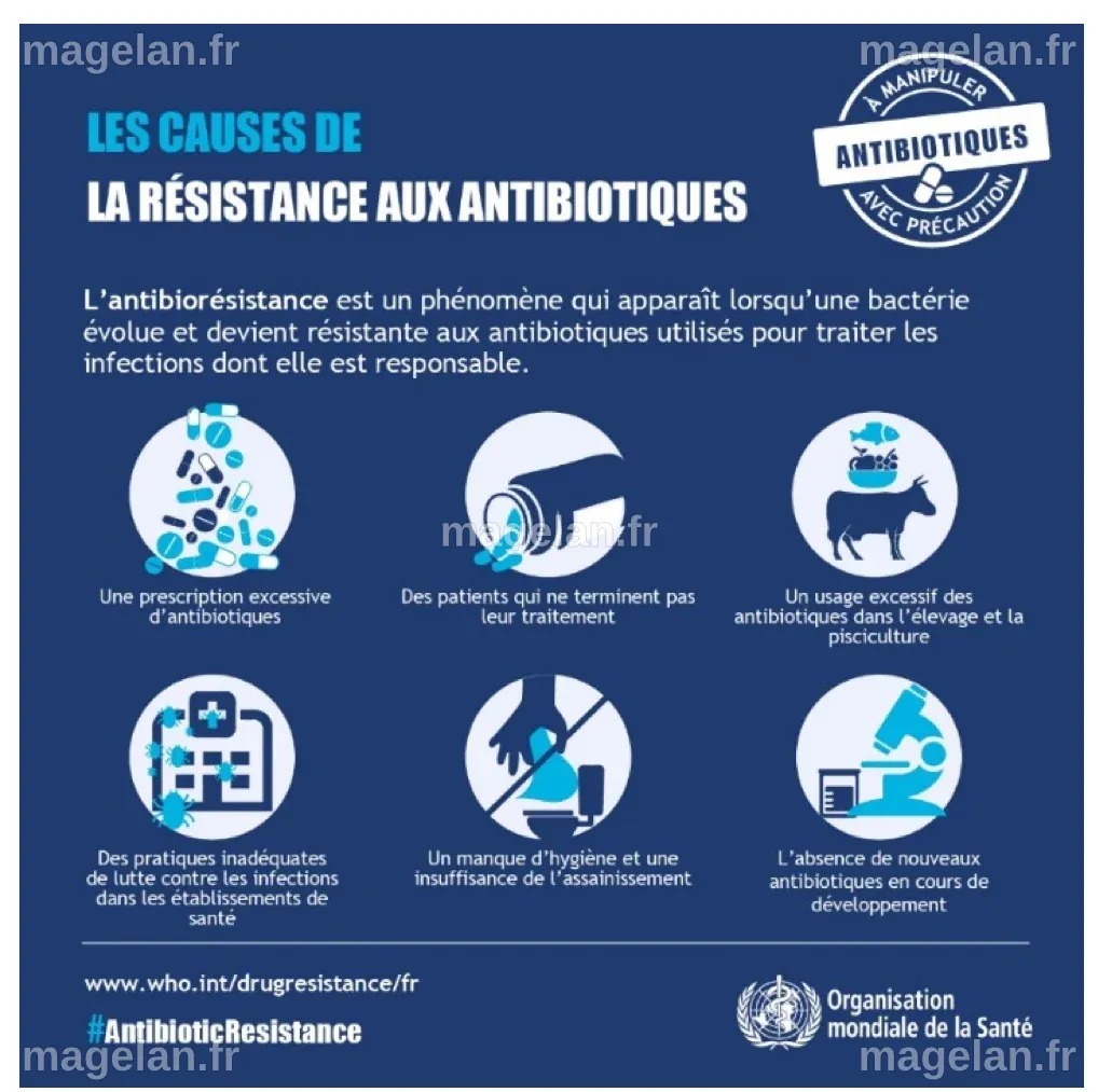 Santé mondiale : Les défis liés aux épidémies, à la résistance aux antibiotiques et à la pollution sont-ils liés aux animaux et à notre planète ?