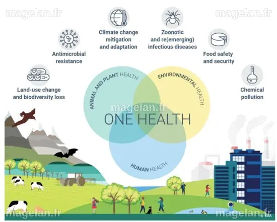 One Health | EFSA