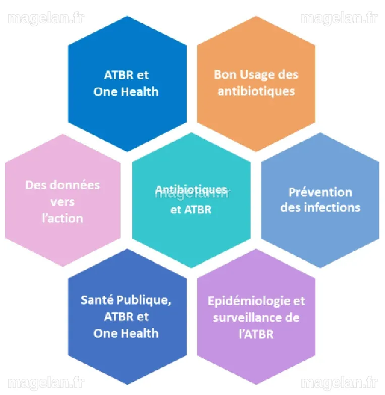 DU Antibiorésistance et Approche globale One Health | Graie
