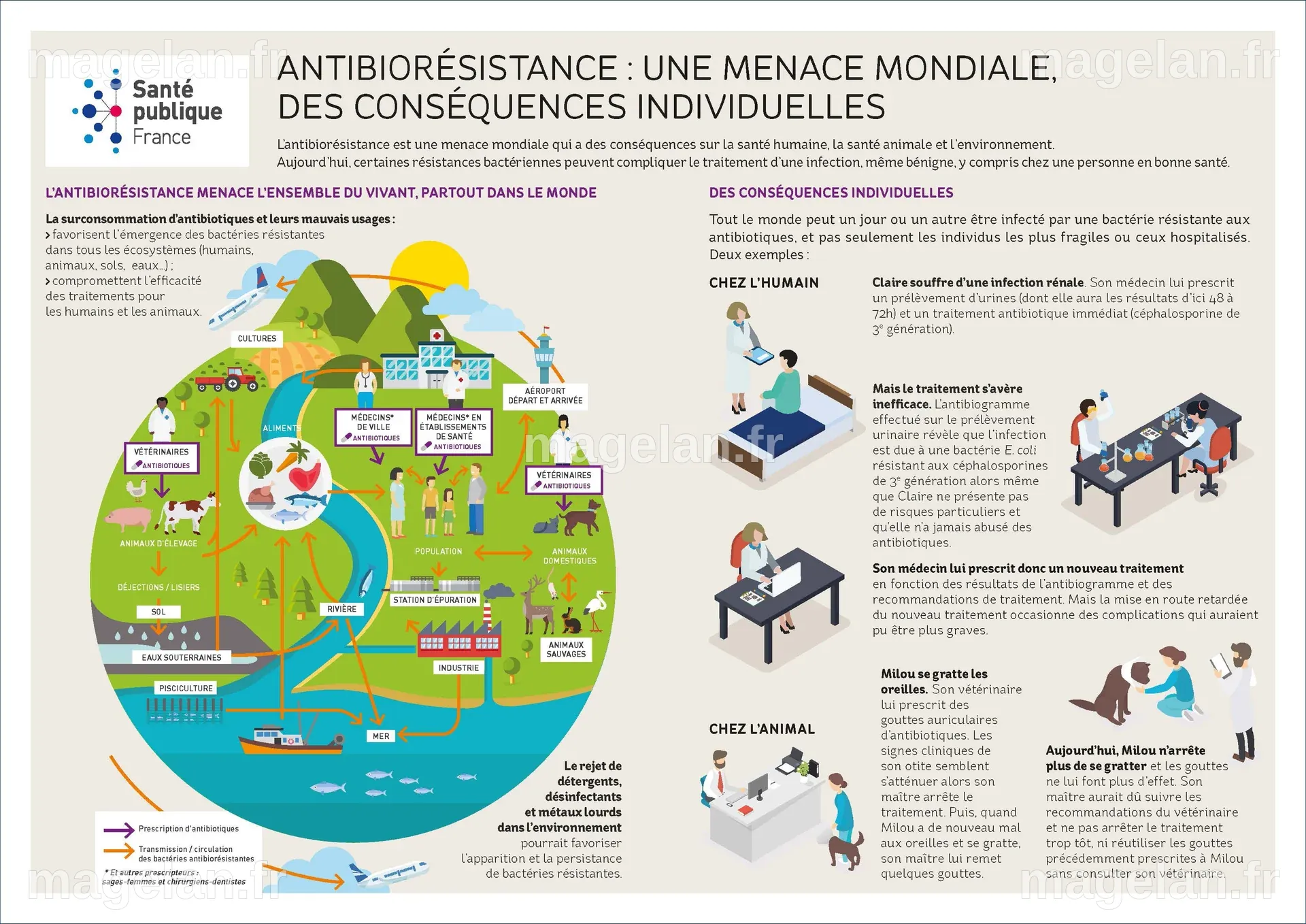 Antibiorésistance : une menace mondiale, des conséquences individuelles