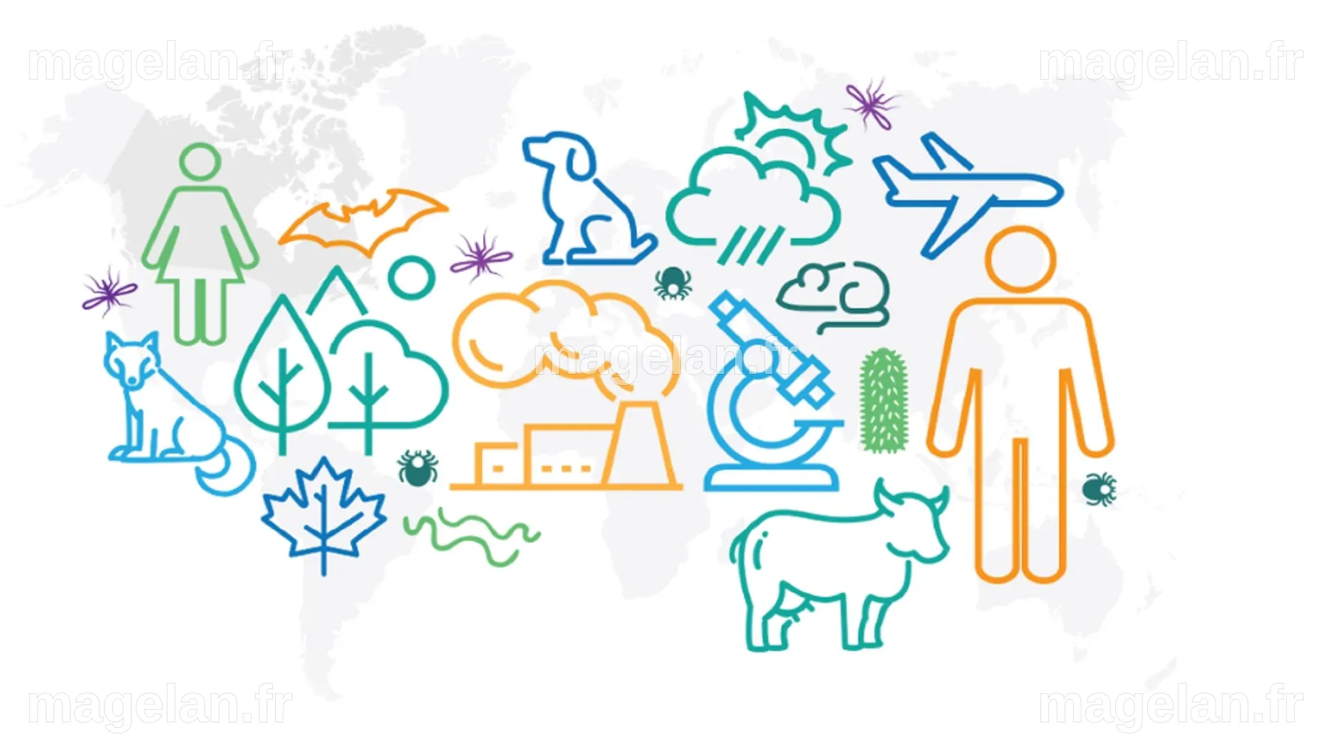 Zoonoses et adaptation dans un monde en évolution - Fonds de recherche ...