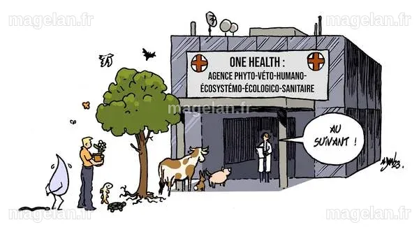 Santé mondiale : Pourquoi les animaux et la planète sont cruciaux pour notre bien-être