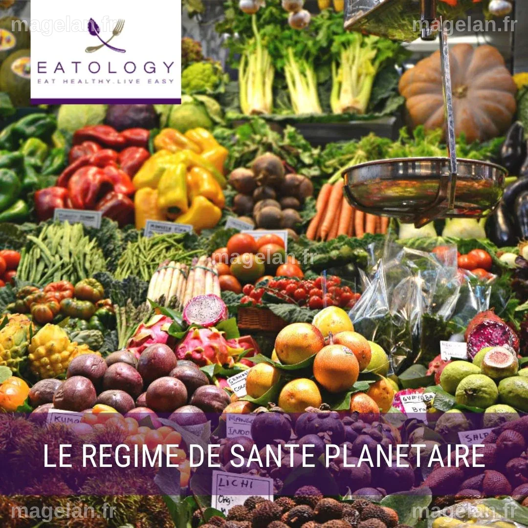 Connaissez-vous le régime de santé planétaire ? - Eatology