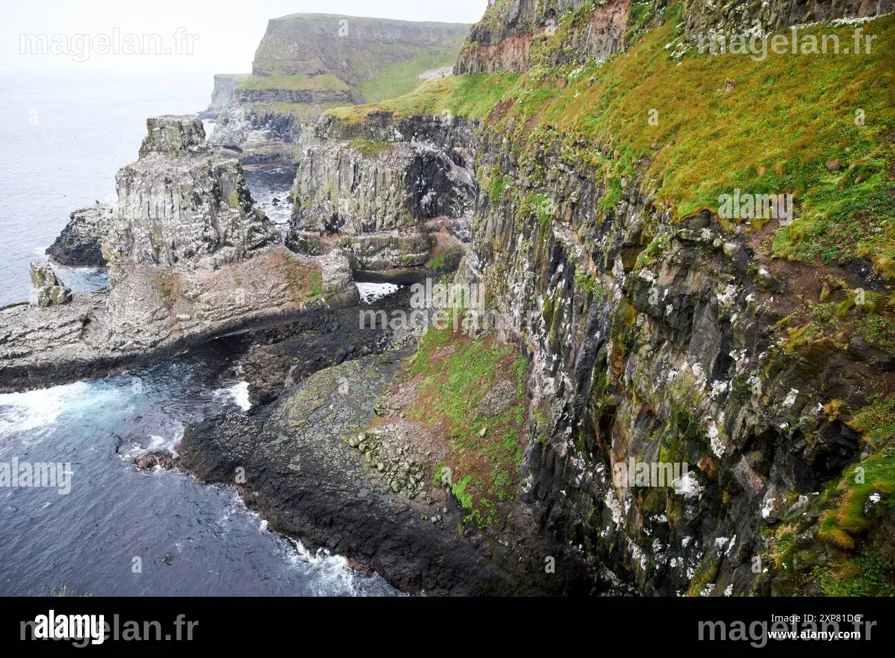 Sites de nidification des oiseaux de mer Banque de photographies et d ...