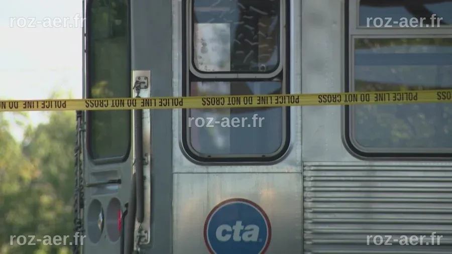 Woman fatally struck by CTA Blue Line train in Logan Square: CPD