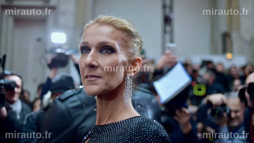 Concerts de Céline Dion : un prix scandaleux qui double en un instant