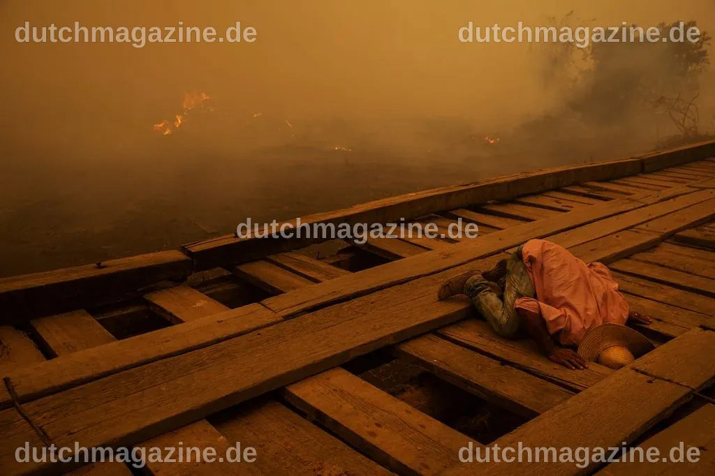 World Press Photo 2021: Das sind die Pressefotos des Jahres - DER SPIEGEL