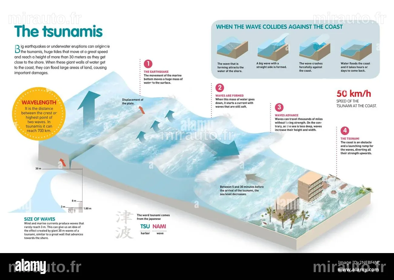 Les observations satellites éclairent les premières phases d'un tsunami