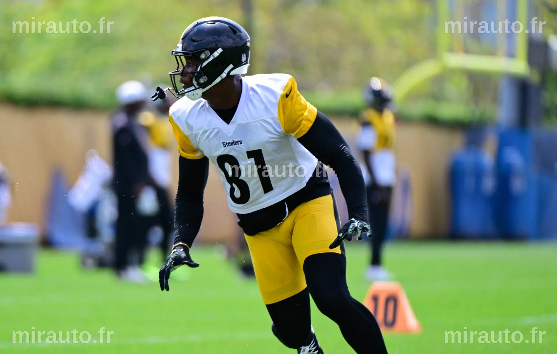 Les Steelers se séparent de Jonnu Smith : un transfert raté