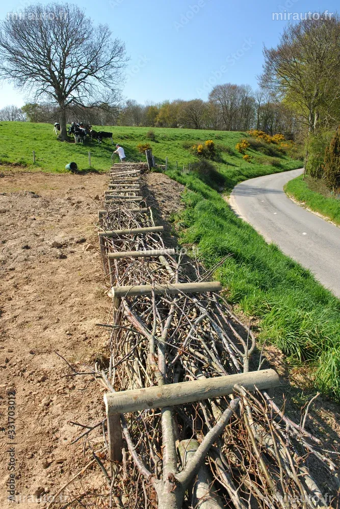 Lutte contre l'Érosion Côtière dans les Landes : Découvrez SeaClic, un Projet de Science Participative