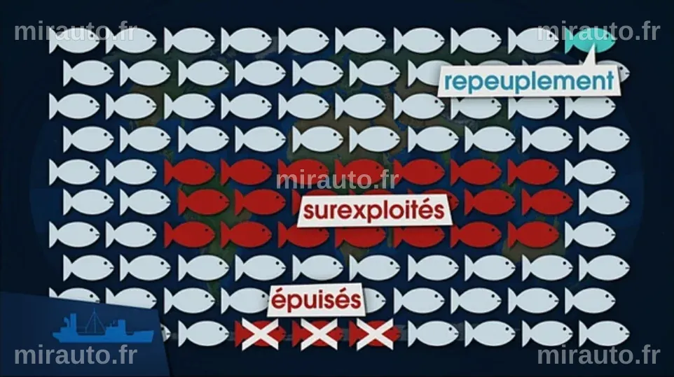 OM : Entre enjeux de rotation et quête d'émulation avant le quart de finale de la Coupe de France contre Toulouse