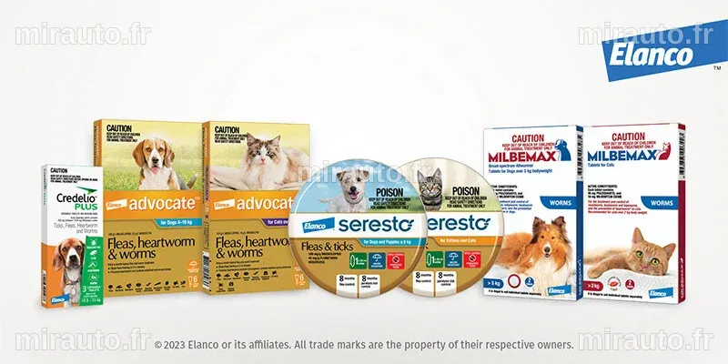 Stifel maintient sa recommandation d’achat pour l’action Elanco Animal Health