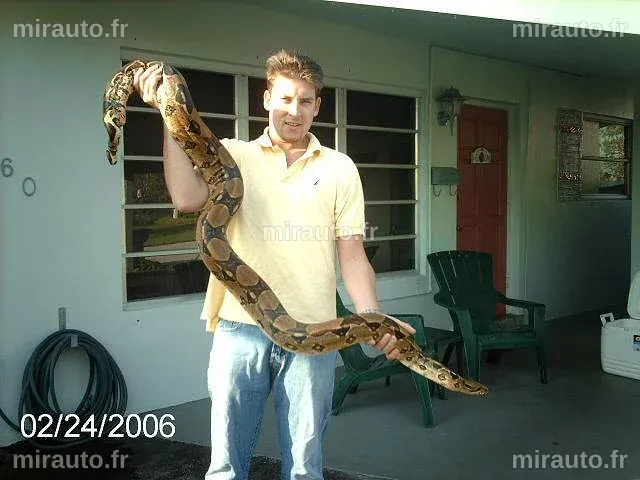 Un boa constrictor s'échappe à Florida durant une urgence de travail