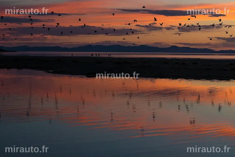 Un projet audacieux pour revitaliser le Grand Lac Salé