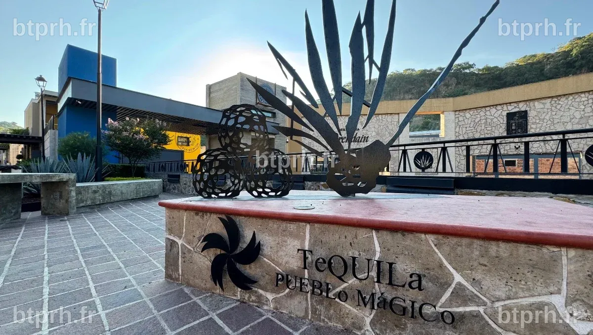 Un voyage à travers Tequila, Cocula et Ajijic : villes de magie et de ...