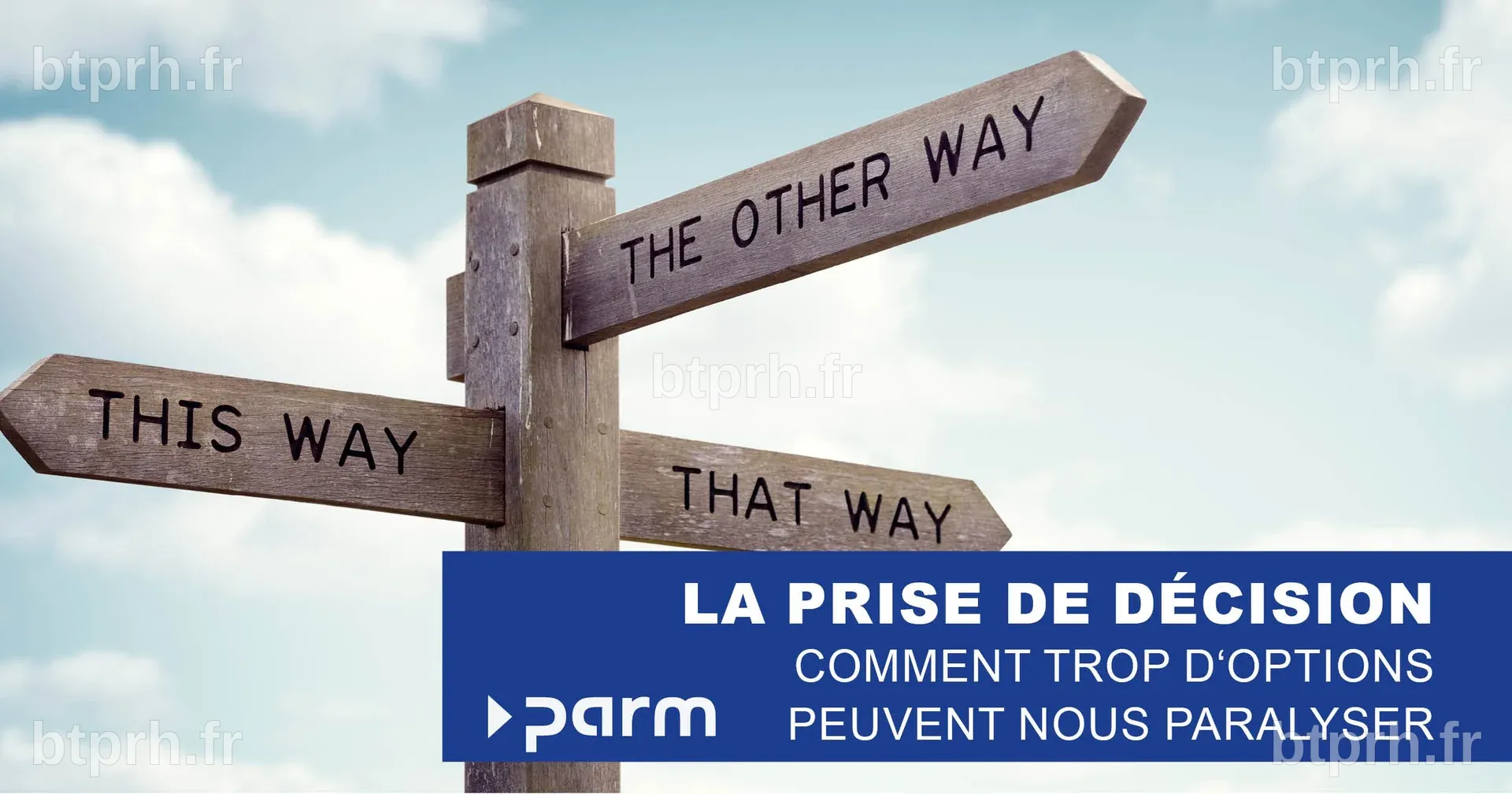 Le Paradoxe de la Prise de Décision | Parm AG
