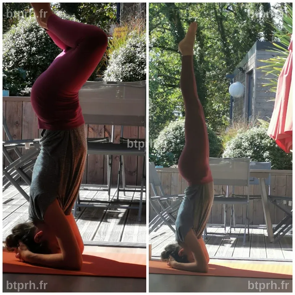 CHANGEMENT DE PERSPECTIVE.... Vivre la tête en bas et les pieds dans ...