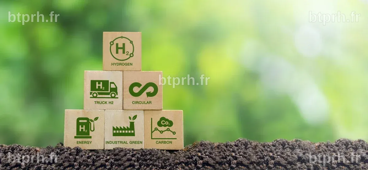 Les enjeux de la transition écologique pour les entreprises françaises ...