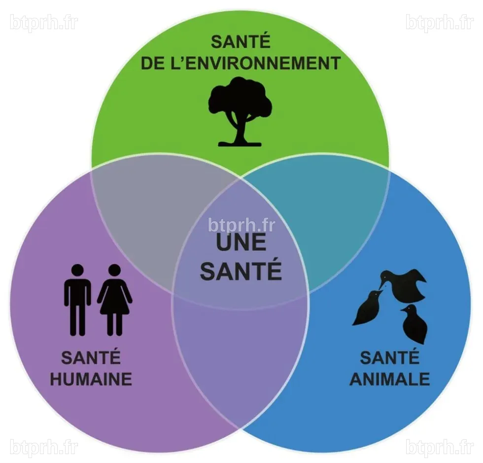LE CONCEPT D'UNE SEULE SANTÉ (ONE HEALTH) ⋆ Cercle de réflexion Sully