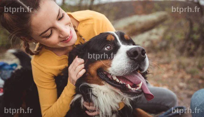 Toutes ces choses que les humains et les animaux partagent - Yummypets