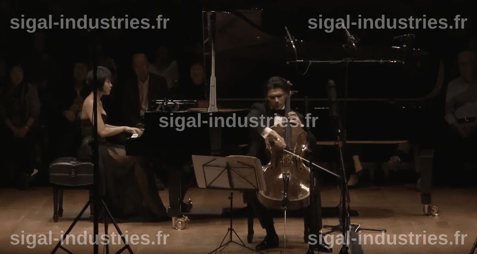 Gautier Capuçon : Petite Taille, Grand Talent - Exploration de Son Impact dans la Musique Classique