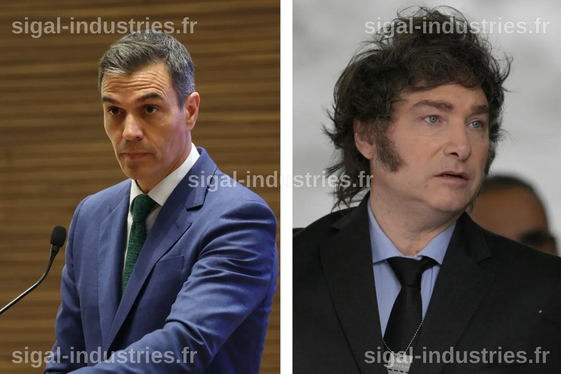 L'Argentine en pleine mutation politique : Javier Milei et l'avenir du Parlement