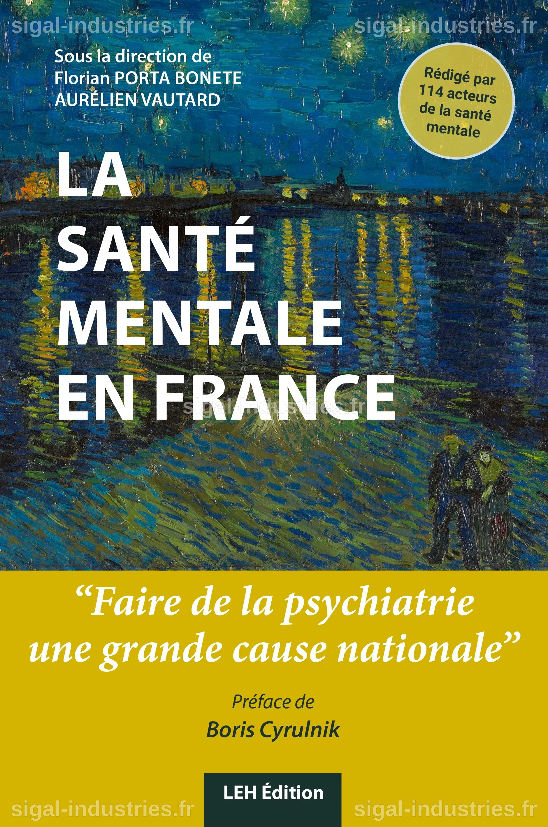 Santé mentale en France : Un appel urgent à réformer l'hôpital psychiatrique