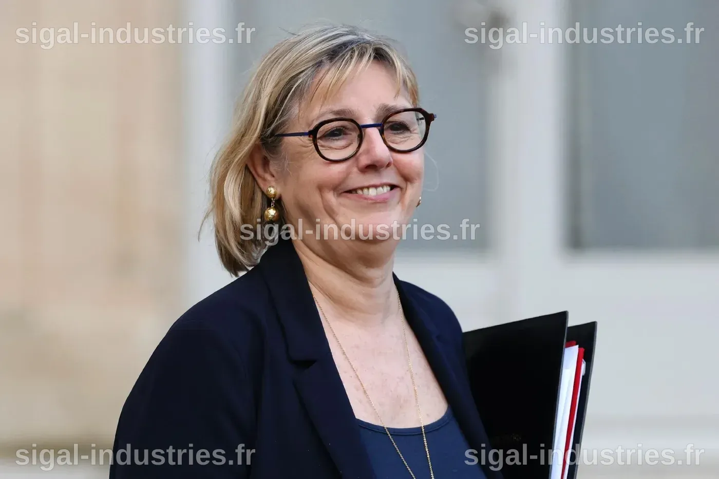 Sylvie Retailleau Mari : Vie Privée, Carrière et Engagement Politique