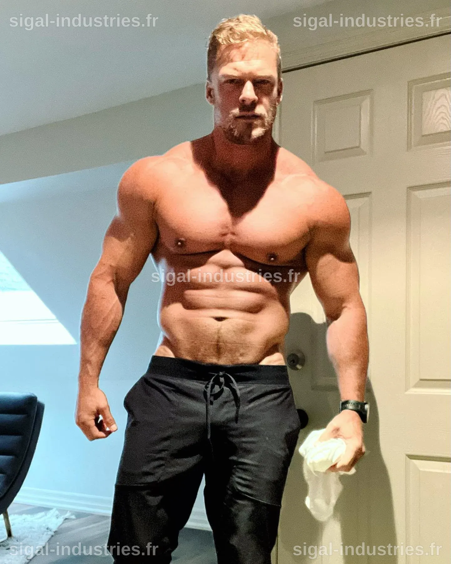 Tout Savoir sur le Poids d'Alan Ritchson : Secrets de Transformation et Entraînement