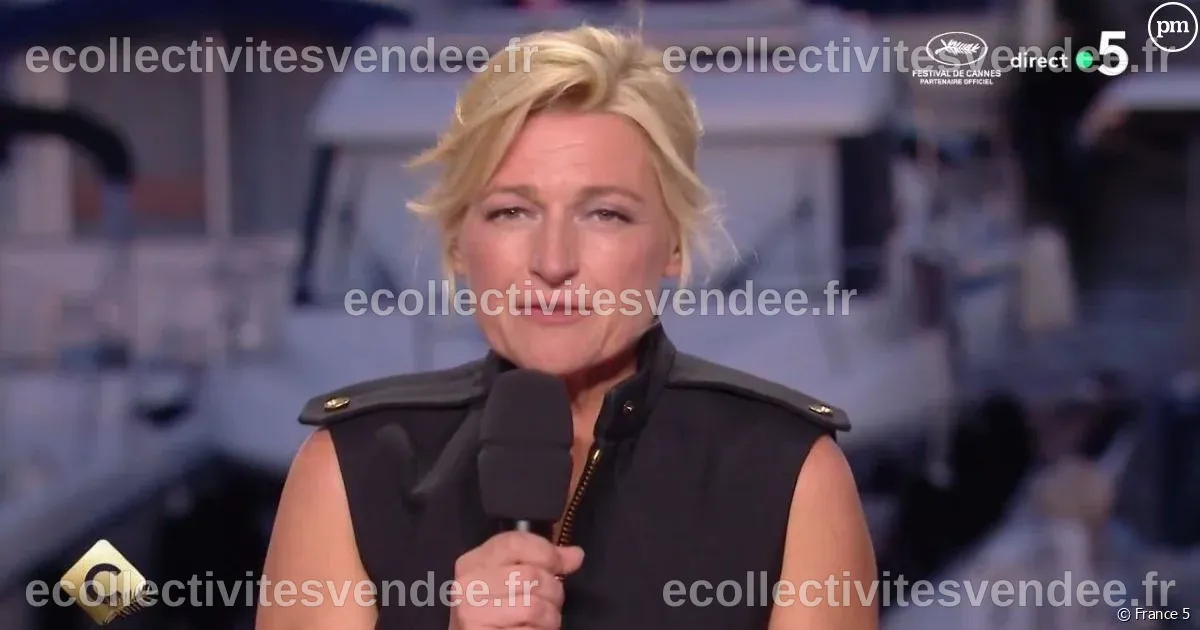 Audiences : Quel bilan pour "C à vous" au Festival de Cannes 2024 avec ...