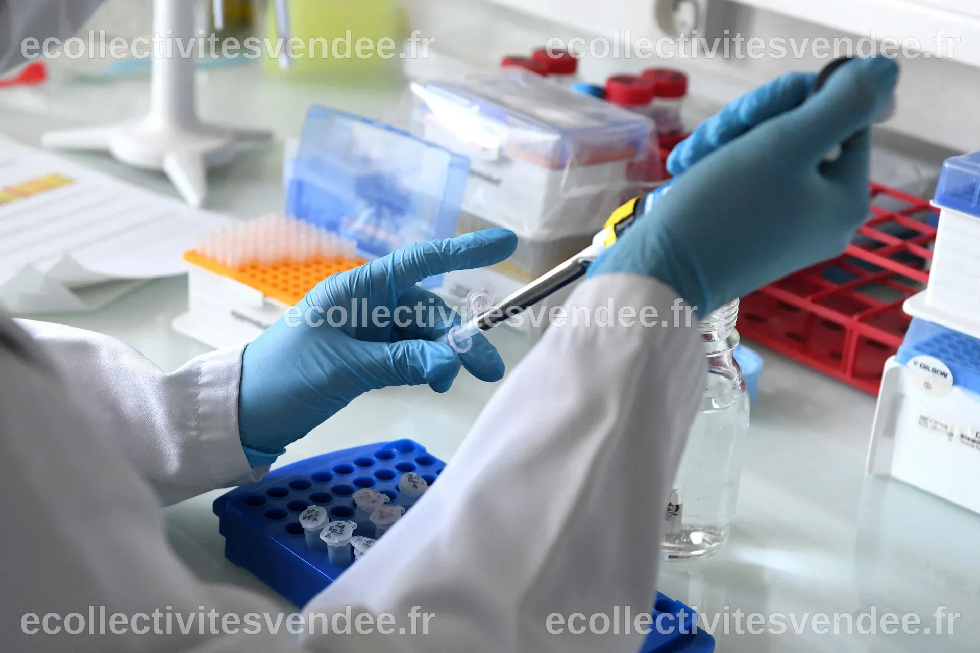 À la recherche des origines de la vie : cinq découvertes scientifiques ...