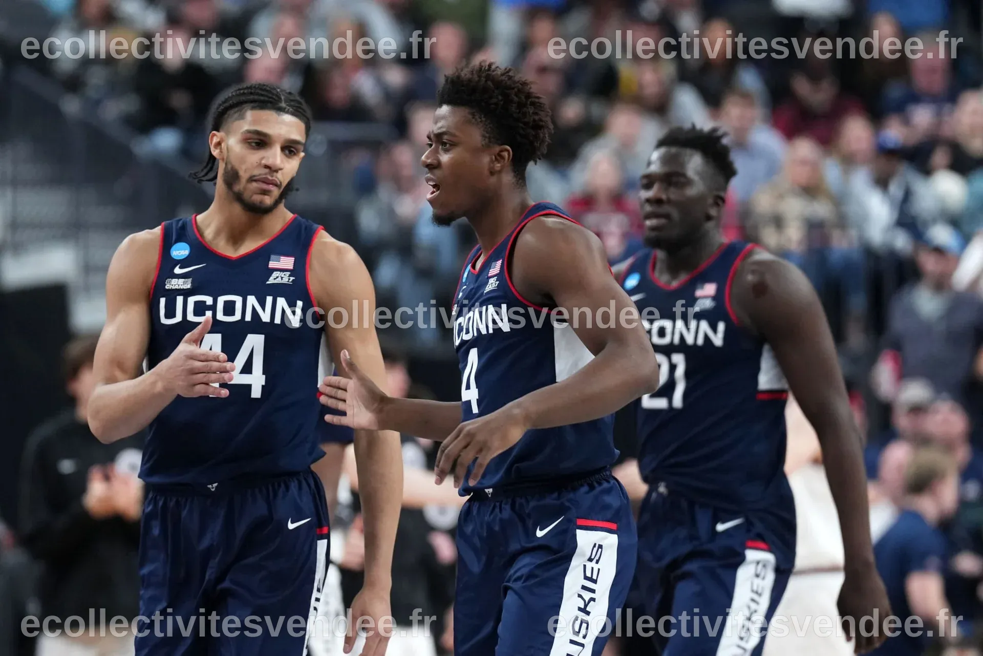 Les cotes du Championnat National : UConn est le favori du Tournoi NCAA ...
