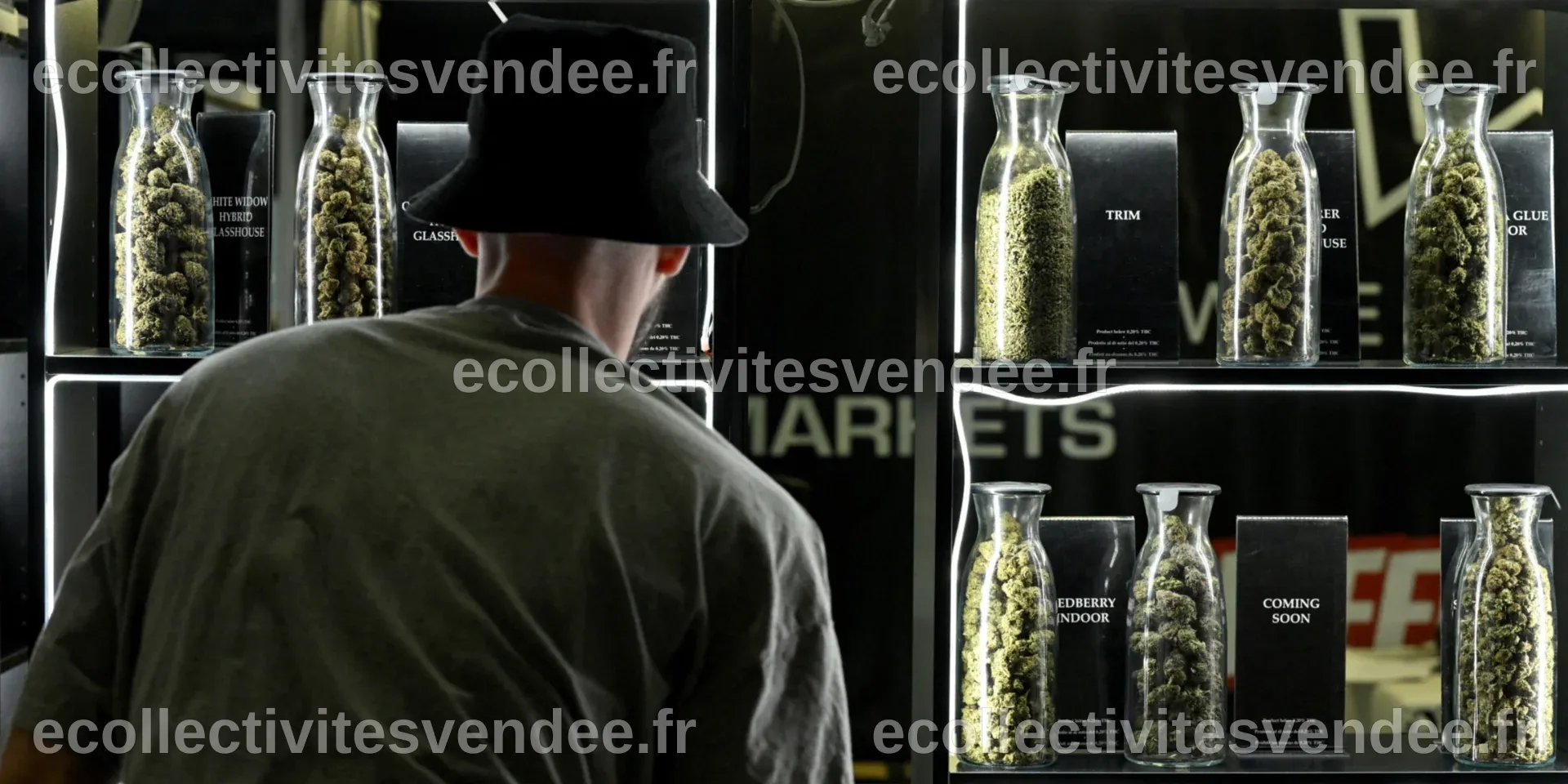Cannabis : le Conseil d'État autorise finalement la vente des fleurs de CBD