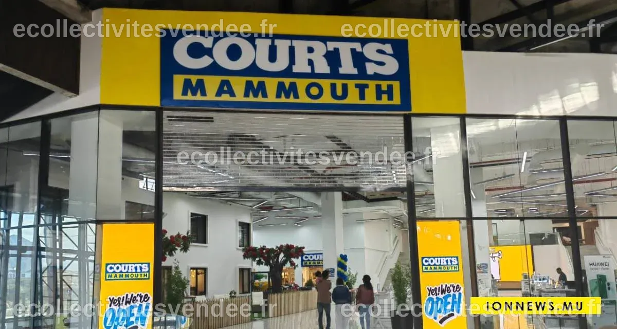 Courts Mammouth à la recherche de nouveaux talents