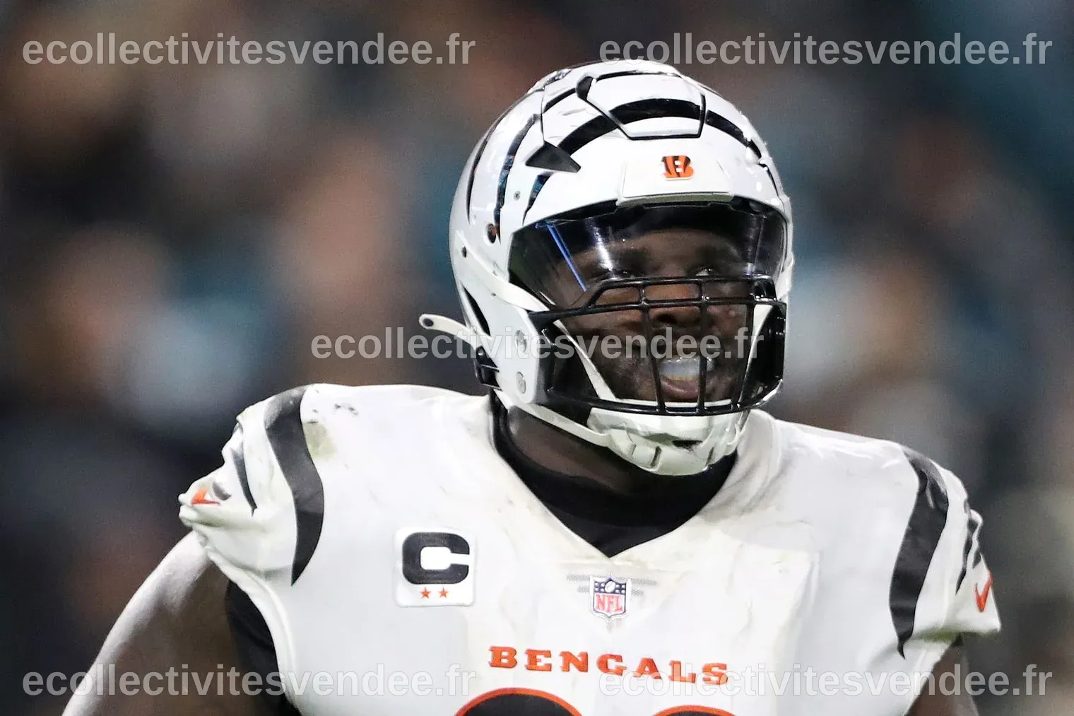 What Bengals fans, writers are saying about Lions’ signing of DJ Reader ...