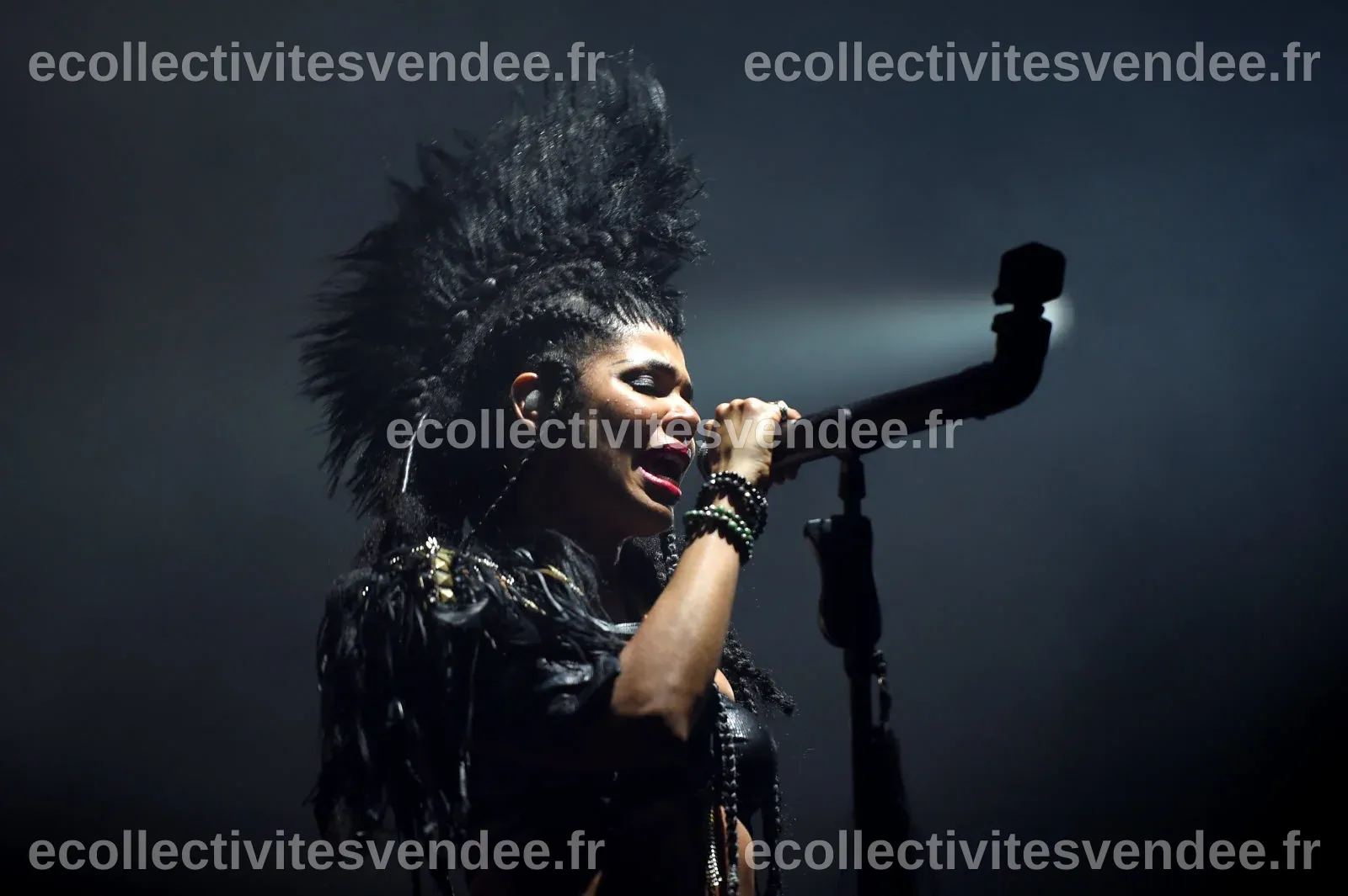 PEOPLE. La chanteuse de Shaka Ponk raconte sur Instagram comment elle a ...