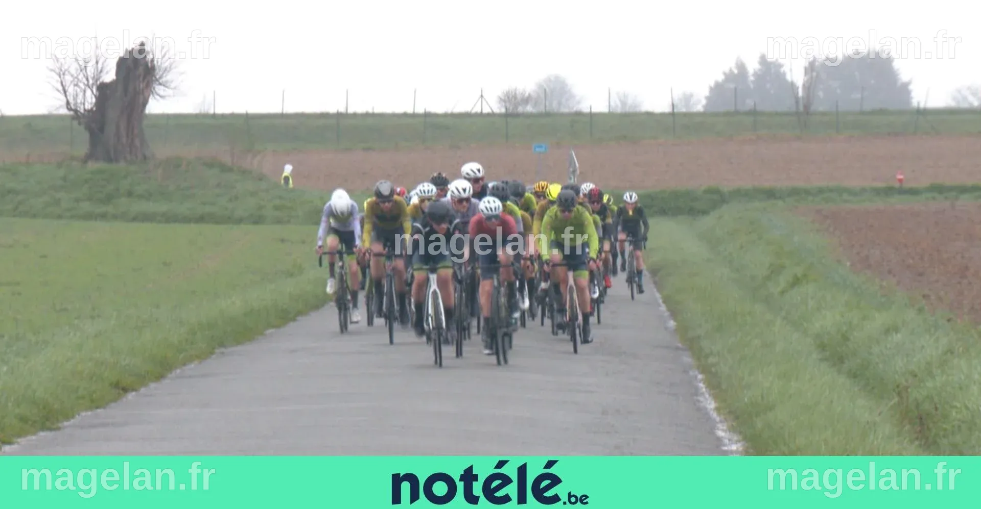 Un bilan mitigé pour le nombre de courses, une explosion du vélo loisir